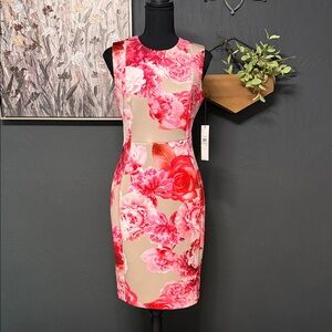 Calvin Klein Pink and Cream Floral Midi Dress